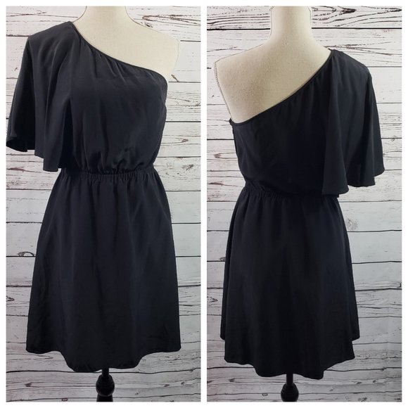 Alex Lane Dresses & Skirts - Alex Lane Silk One Shoulder Lined Women's Dress